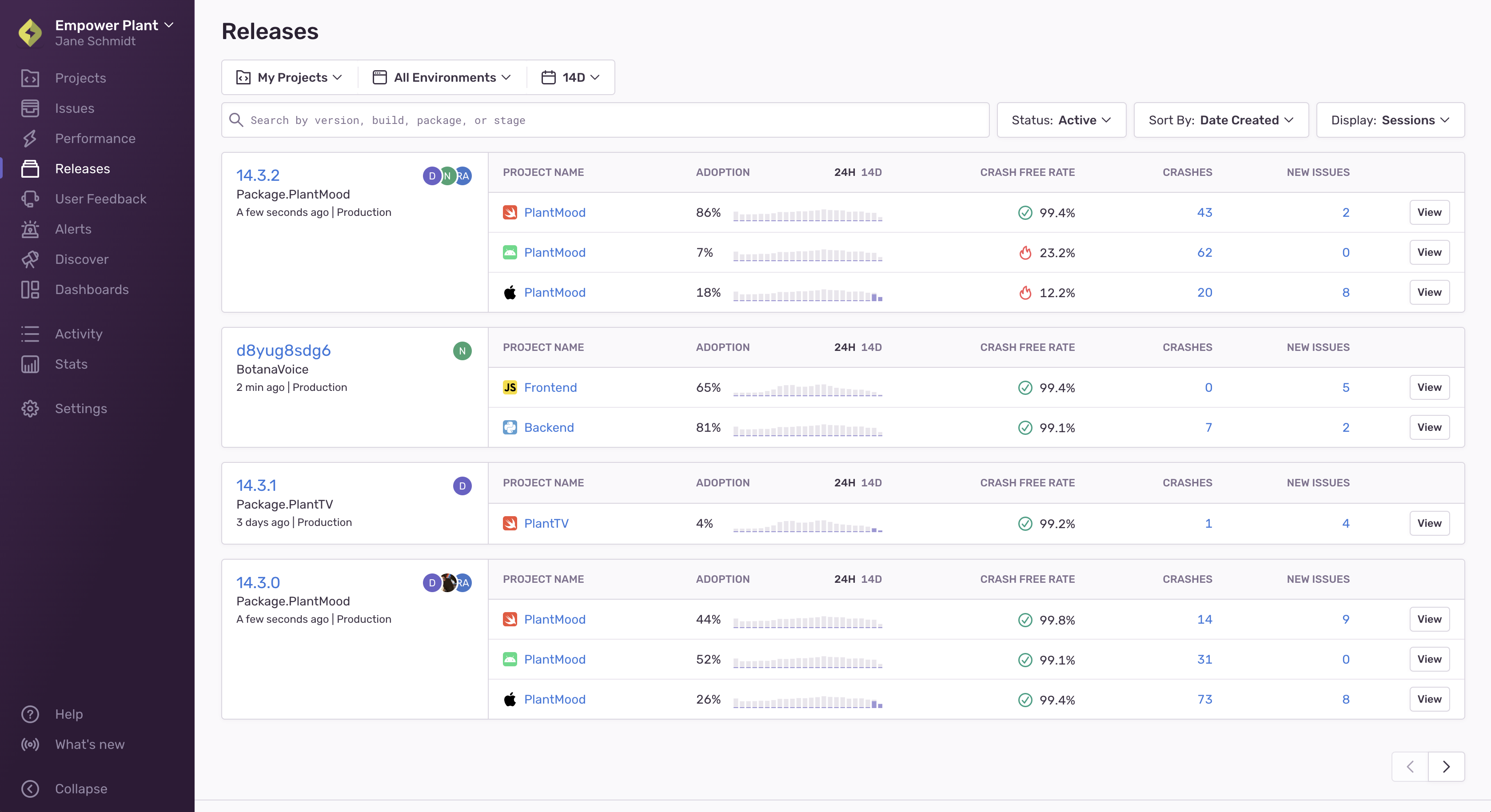 View of the release index page showing each version of projects related to the release and the project details.